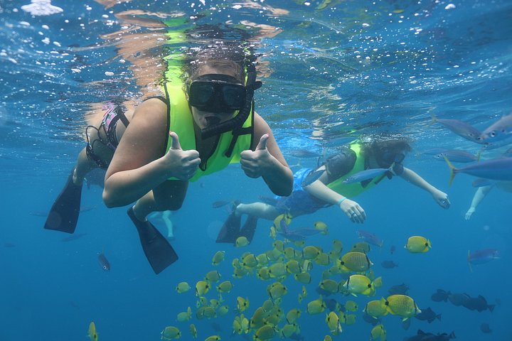 Njut av en naturskön kryssning för delfinskådning och snorkling utanför Oahus kust, Hawaii, med spännande vattenaktiviteter och inkluderad lunch, foto 7 | wizardtrip