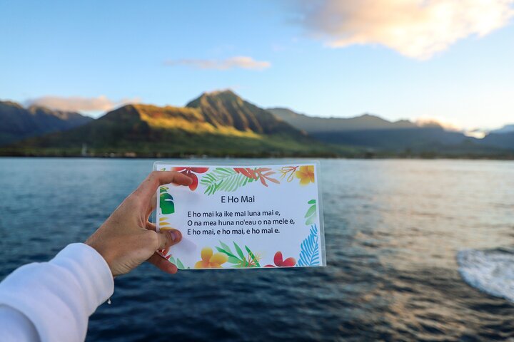 Njut av en naturskön kryssning för delfinskådning och snorkling utanför Oahus kust, Hawaii, med spännande vattenaktiviteter och inkluderad lunch, foto 10 | wizardtrip