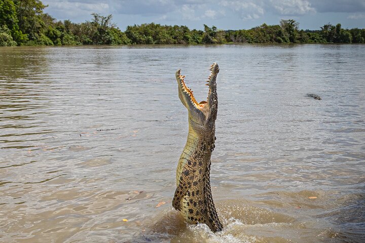 Adelaide River Cruises - Jumping Crocodile Experience | wizardtrip