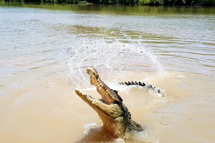 Erleben Sie Krokodile, die während einer aufregenden Wildtierkreuzfahrt in der Nähe von Darwin, Australien, aus dem Adelaide River springen, Foto 9 | wizardtrip