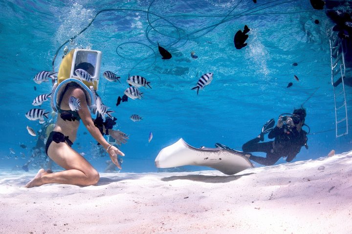 Plongée Casque Bora Bora – Marche sous-marine avec Aqua Safari | wizardtrip