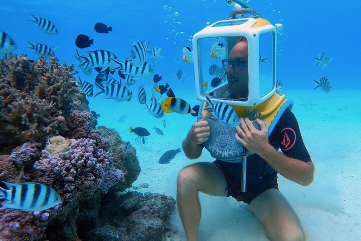カラフルな魚とサンゴがいるボラボラ島のラグーンでの水中ヘルメットウォーク、写真7 | wizardtrip