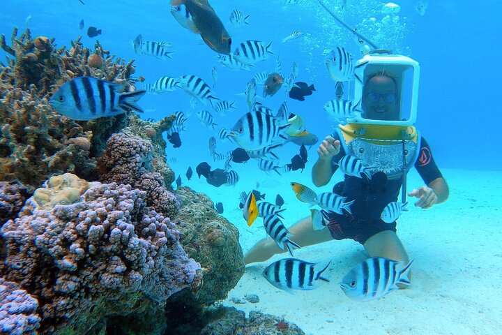 カラフルな魚とサンゴがいるボラボラ島のラグーンでの水中ヘルメットウォーク、写真9 | wizardtrip
