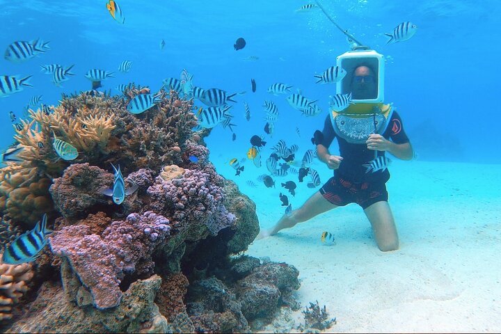 カラフルな魚とサンゴがいるボラボラ島のラグーンでの水中ヘルメットウォーク、写真11 | wizardtrip