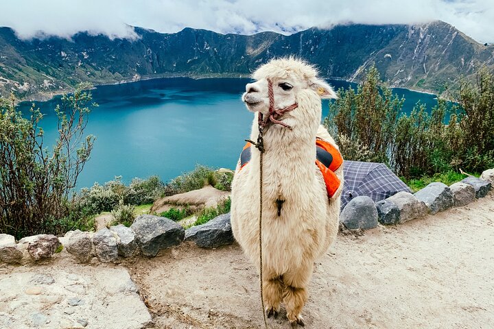Heldagstur til Quilotoa-lagunen fra Quito, Ecuador, med fantastisk udsigt over krater søen og andinsk landskab, foto 16 | wizardtrip