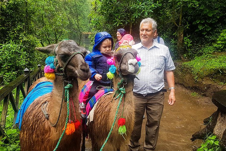 Ganztägige Tour von Quito nach Otavalo, Besuch von Cayambe, indigenem Markt und Peguche-Wasserfall, Foto 10 | wizardtrip
