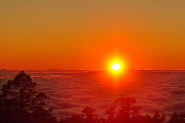 ガイド付きバスツアーで、テネリフェ島のテイデ国立公園での息をのむような夕日と素晴らしい星空観賞を体験しましょう、写真9 | wizardtrip