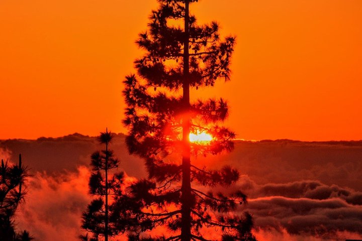 ガイド付きバスツアーで、テネリフェ島のテイデ国立公園での息をのむような夕日と素晴らしい星空観賞を体験しましょう、写真14 | wizardtrip