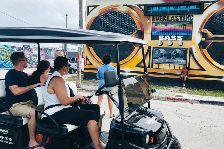 Tour in golf cart alla scoperta dei vibranti graffiti e murales di street art di Wynwood a Miami, foto 6 | wizardtrip