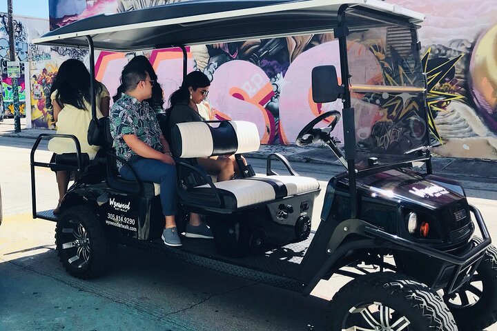 Tour in golf cart alla scoperta dei vibranti graffiti e murales di street art di Wynwood a Miami, foto 8 | wizardtrip
