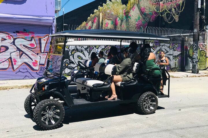 Tour in golf cart alla scoperta dei vibranti graffiti e murales di street art di Wynwood a Miami, foto 9 | wizardtrip