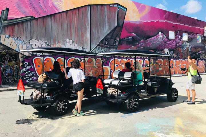 Tour in golf cart alla scoperta dei vibranti graffiti e murales di street art di Wynwood a Miami, foto 10 | wizardtrip