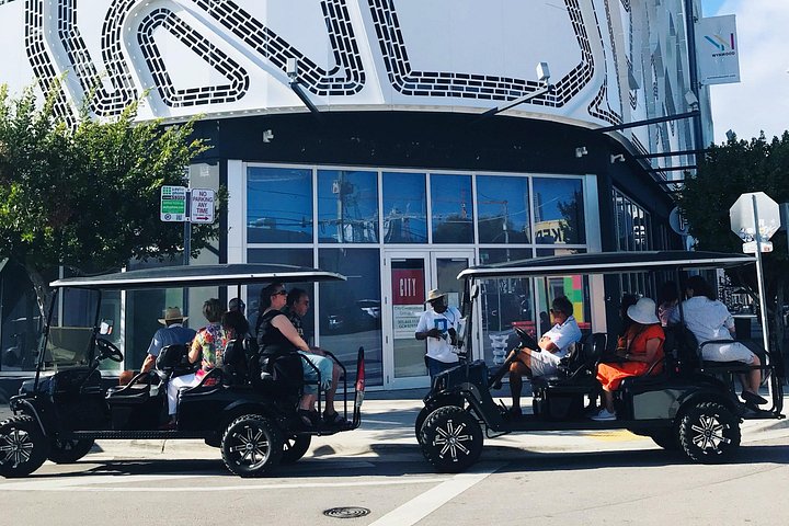 Tour in golf cart alla scoperta dei vibranti graffiti e murales di street art di Wynwood a Miami, foto 11 | wizardtrip