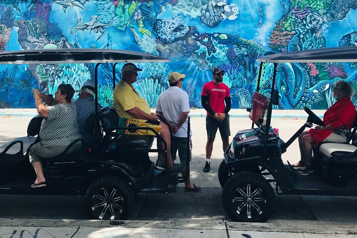 Tour in golf cart alla scoperta dei vibranti graffiti e murales di street art di Wynwood a Miami, foto 12 | wizardtrip