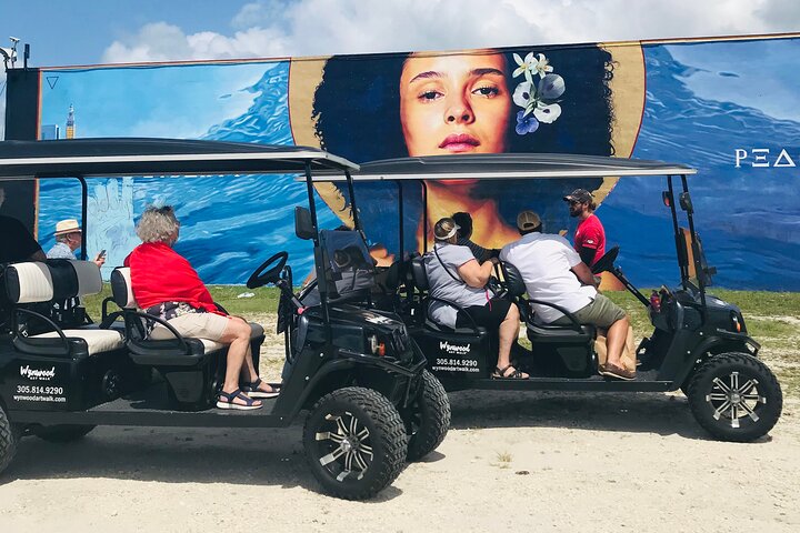 Tour in golf cart alla scoperta dei vibranti graffiti e murales di street art di Wynwood a Miami, foto 13 | wizardtrip