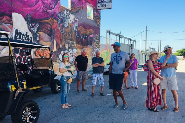 Tour in golf cart alla scoperta dei vibranti graffiti e murales di street art di Wynwood a Miami, foto 15 | wizardtrip