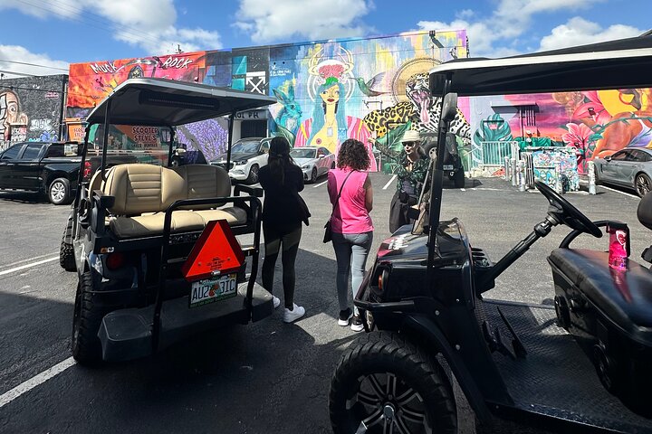 Tour in golf cart alla scoperta dei vibranti graffiti e murales di street art di Wynwood a Miami, foto 16 | wizardtrip