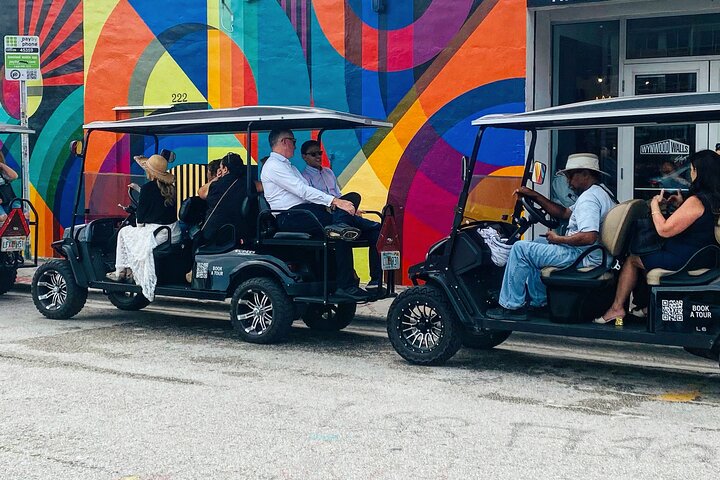Tour in golf cart alla scoperta dei vibranti graffiti e murales di street art di Wynwood a Miami, foto 17 | wizardtrip