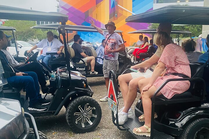 Tour in golf cart alla scoperta dei vibranti graffiti e murales di street art di Wynwood a Miami, foto 18 | wizardtrip