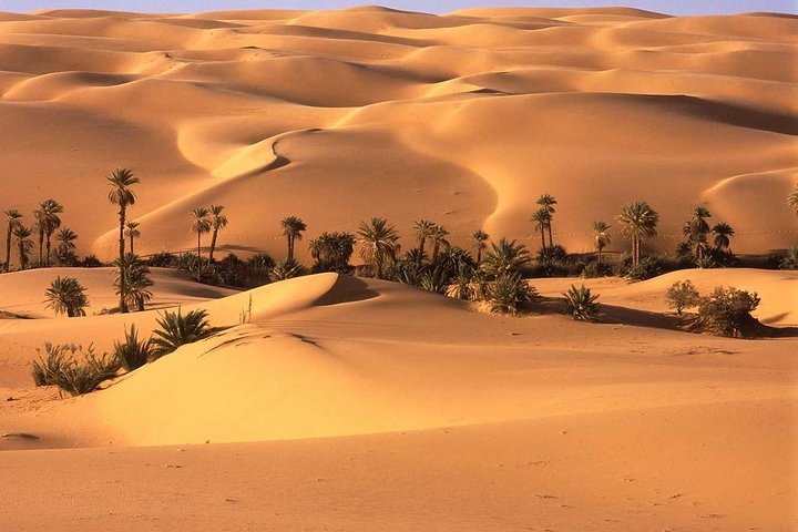Ervaar een 3-daagse Sahara woestijntour vanuit Marrakech met kamelentochten en overnachtingen in Berber-tenten, foto 10 | wizardtrip