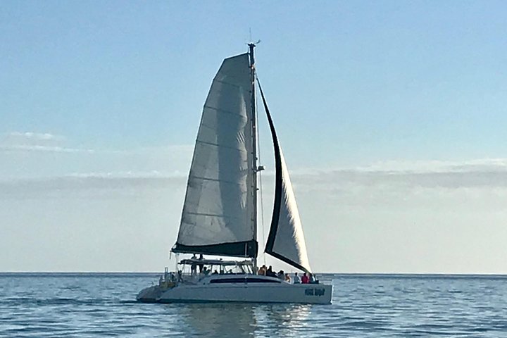 Sightseeing and Sunset Catamaran Sailing Excursion | wizardtrip