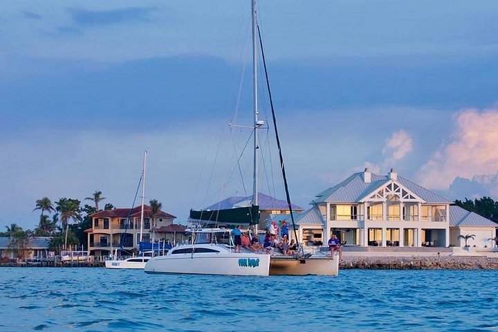 Excursão de catamarã em Naples, Flórida, com vistas do pôr do sol e observação de vida selvagem, foto 19 | wizardtrip