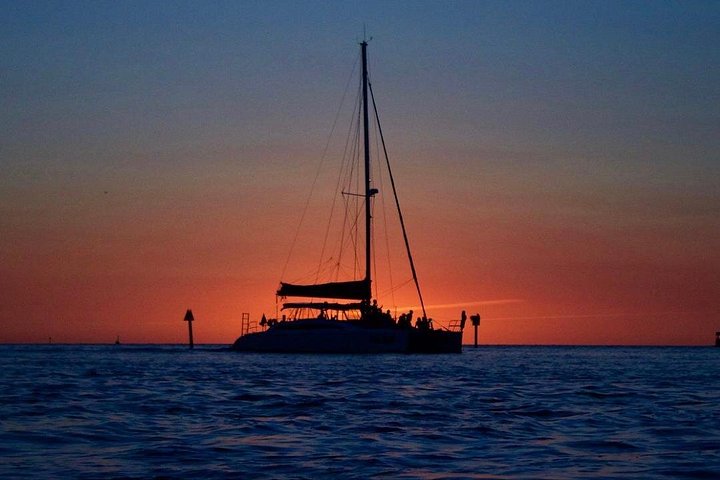 Excursão de catamarã em Naples, Flórida, com vistas do pôr do sol e observação de vida selvagem, foto 22 | wizardtrip
