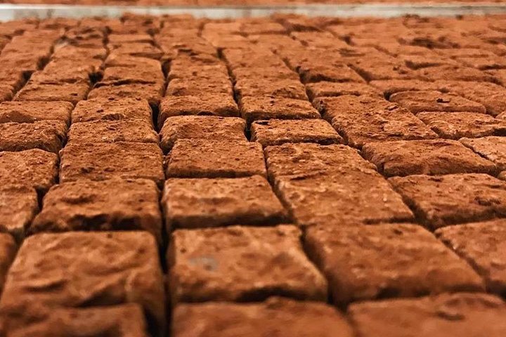Un tour gastronomico guidato a Bordeaux, Francia, con degustazione di vini, piatti locali e dolci, foto 18 | wizardtrip