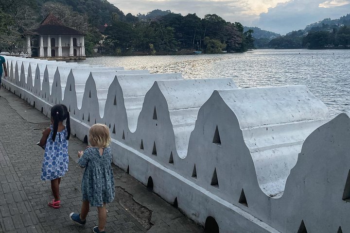 Privat biltur på Sri Lanka med chauffør, der udforsker ikoniske vartegn og naturskønne ruter, foto 13 | wizardtrip