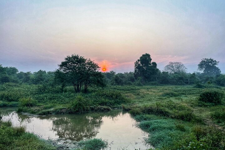 Privat biltur på Sri Lanka med chauffør, der udforsker ikoniske vartegn og naturskønne ruter, foto 17 | wizardtrip
