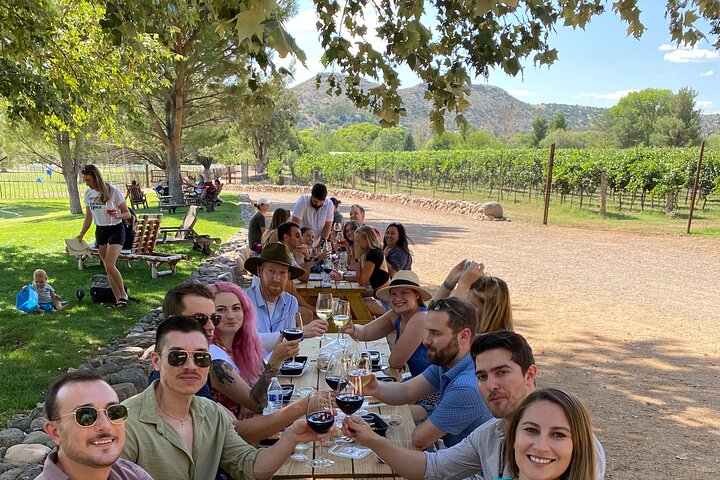 Lyxig vintur i Sedona med vingårdar, partybussar och gourmetlunch, foto 14 | wizardtrip