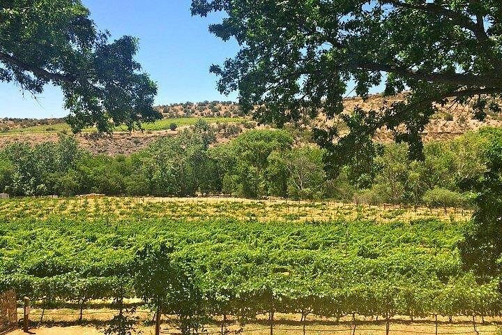 Lyxig vintur i Sedona med vingårdar, partybussar och gourmetlunch, foto 17 | wizardtrip