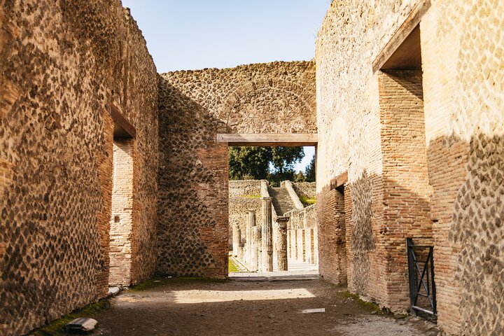 Guided tour of the ancient ruins of Pompeii, Italy, with a focus on historical sites and artifacts, photo 8 | wizardtrip
