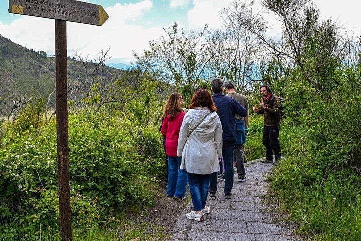 Tour of Pompeii ruins and Mount Vesuvius volcano from Naples, photo 10 | wizardtrip