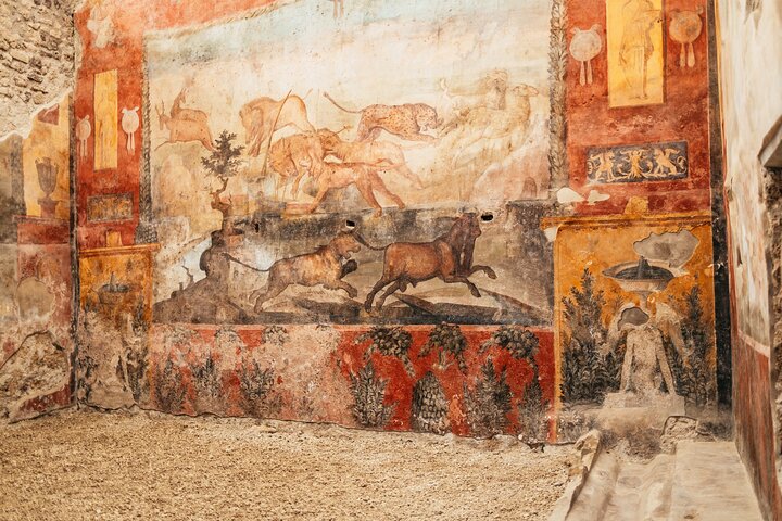 ナポリ発のガイドツアーで、ポンペイの遺跡と雄大なヴェスヴィオ火山を探索しましょう。ランチとワインテイスティングも含まれます、写真10 | wizardtrip