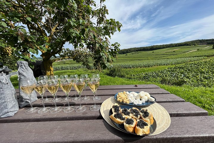 Excursión de un día a Champagne desde París con viñedos, Catedral de Reims y cata de vinos, foto 7 | wizardtrip