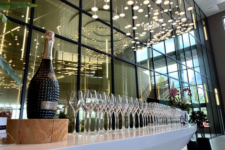 Excursión de un día a Champagne desde París con viñedos, Catedral de Reims y cata de vinos, foto 8 | wizardtrip