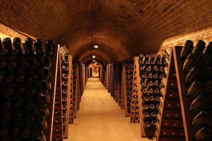 Excursión de un día a Champagne desde París con viñedos, Catedral de Reims y cata de vinos, foto 9 | wizardtrip