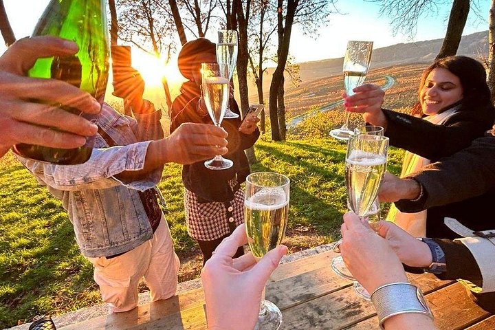 Excursión de un día a Champagne desde París con viñedos, Catedral de Reims y cata de vinos, foto 14 | wizardtrip