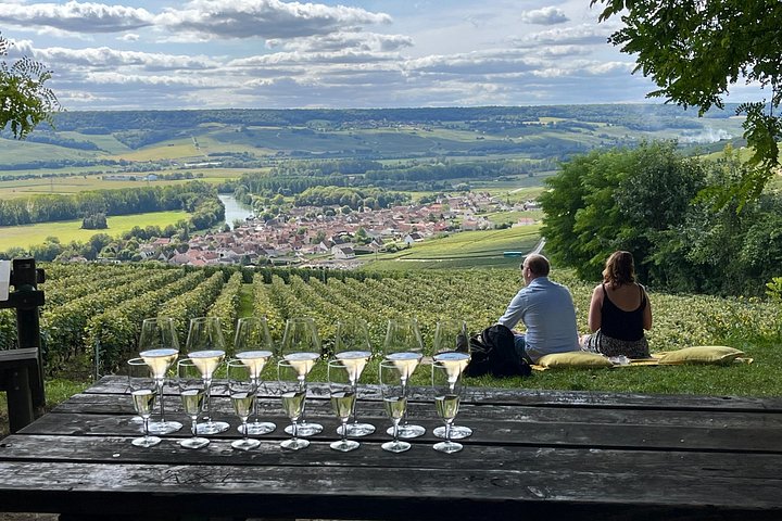 Excursión de un día a Champagne desde París con viñedos, Catedral de Reims y cata de vinos, foto 17 | wizardtrip