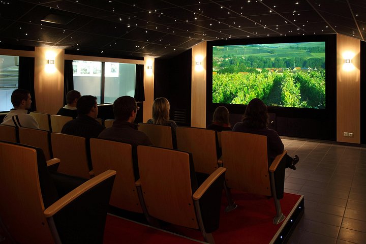 Excursión de un día a Champagne desde París con viñedos, Catedral de Reims y cata de vinos, foto 21 | wizardtrip