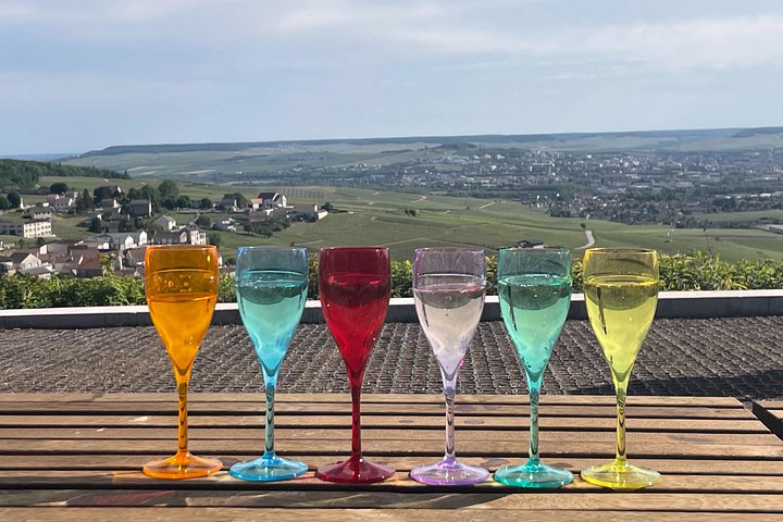 Excursión de un día a Champagne desde París con viñedos, Catedral de Reims y cata de vinos, foto 24 | wizardtrip