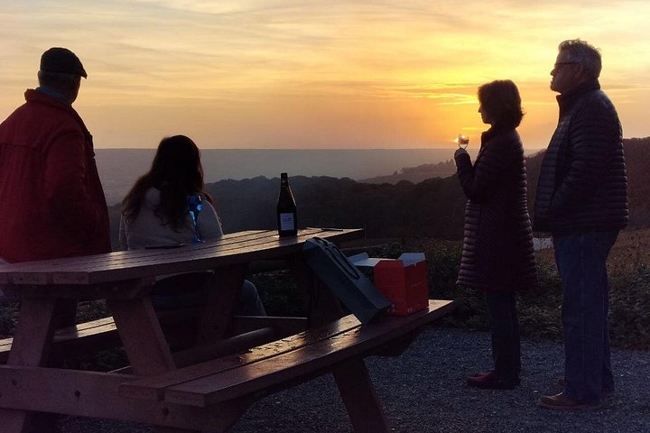 Excursión de un día a Champagne desde París con viñedos, Catedral de Reims y cata de vinos, foto 28 | wizardtrip