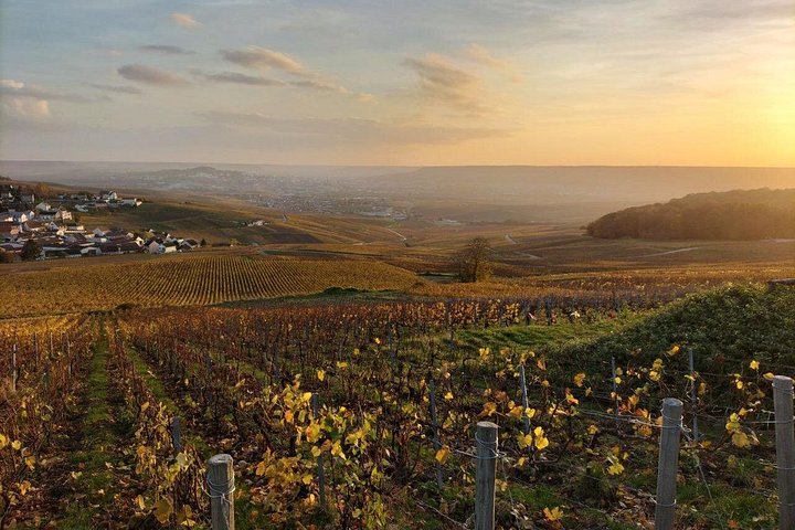 Excursión de un día a Champagne desde París con viñedos, Catedral de Reims y cata de vinos, foto 29 | wizardtrip