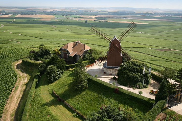 Excursión de un día a Champagne desde París con viñedos, Catedral de Reims y cata de vinos, foto 31 | wizardtrip
