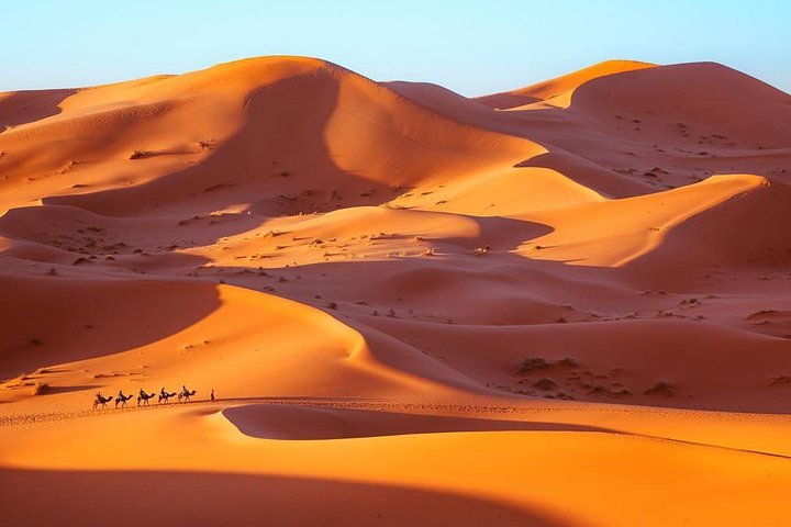 Excursion dans le désert de Fès à Marrakech : Aventure de 3 jours | wizardtrip