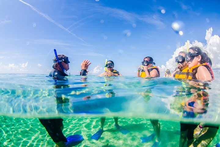 Fahren Sie mit einem Speedboot durch Cancuns Mangroven und schnorcheln Sie am Korallenriff von Punta Nizuc, Foto 7 | wizardtrip