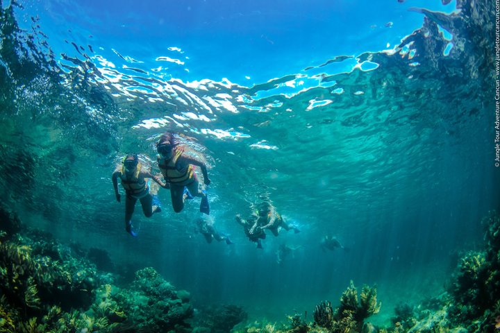 Fahren Sie mit einem Speedboot durch Cancuns Mangroven und schnorcheln Sie am Korallenriff von Punta Nizuc, Foto 8 | wizardtrip