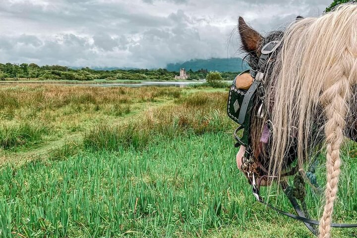 Tradisjonell Jaunting-bil-tur gjennom Killarney nasjonalpark, Irland, som viser innsjøer og fjell, foto 9 | wizardtrip