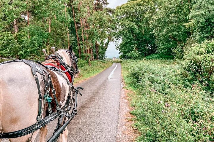 Tradisjonell Jaunting-bil-tur gjennom Killarney nasjonalpark, Irland, som viser innsjøer og fjell, foto 10 | wizardtrip